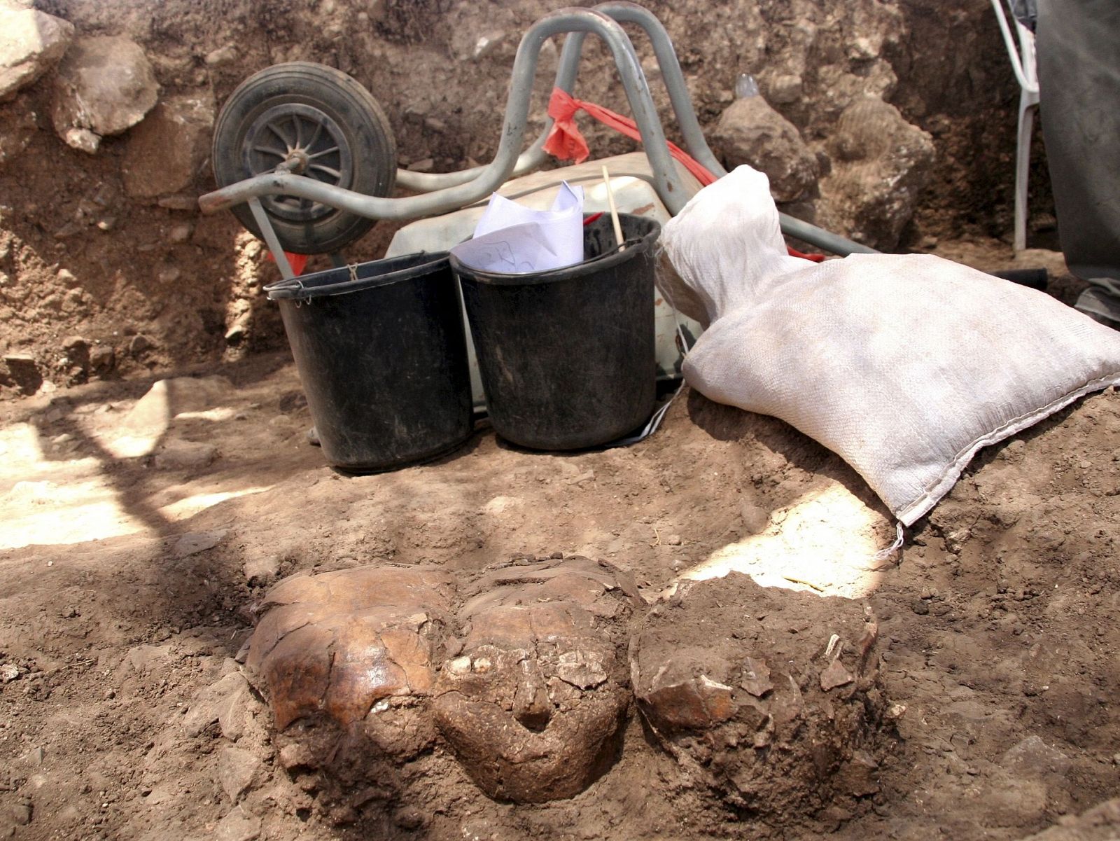 Estos restos hacen pensar a los investigadores que hace 8.000 años ya existía una preocupación por el culto a los antepasados.