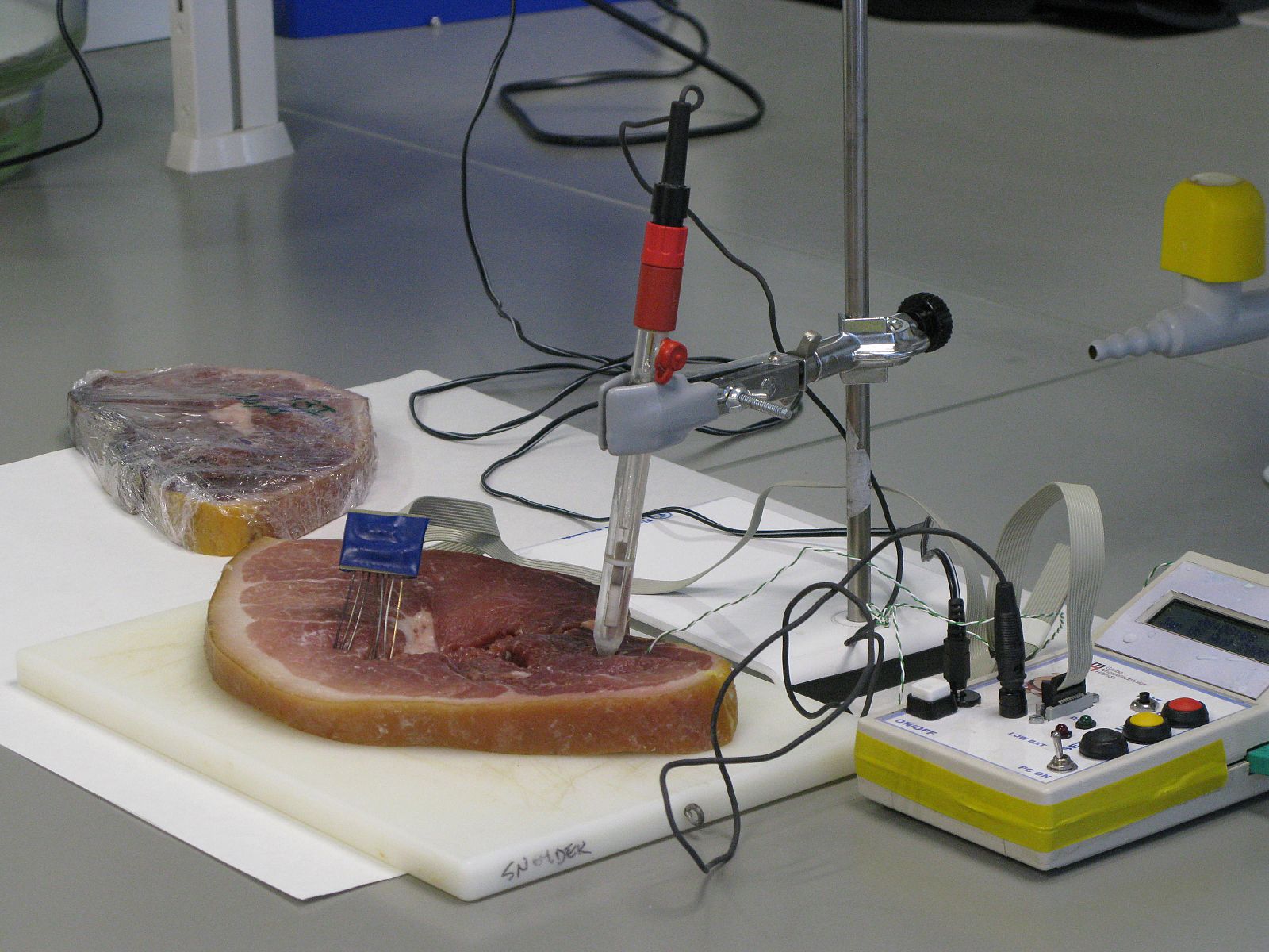 La lengua electrónica desarrollada por el CSIC para 'catar' jamón