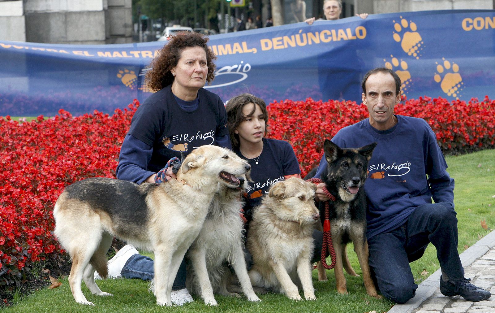 CAMPAÑA "CONTRA EL MALTRATO ANIMAL, DENÚNCIALO"