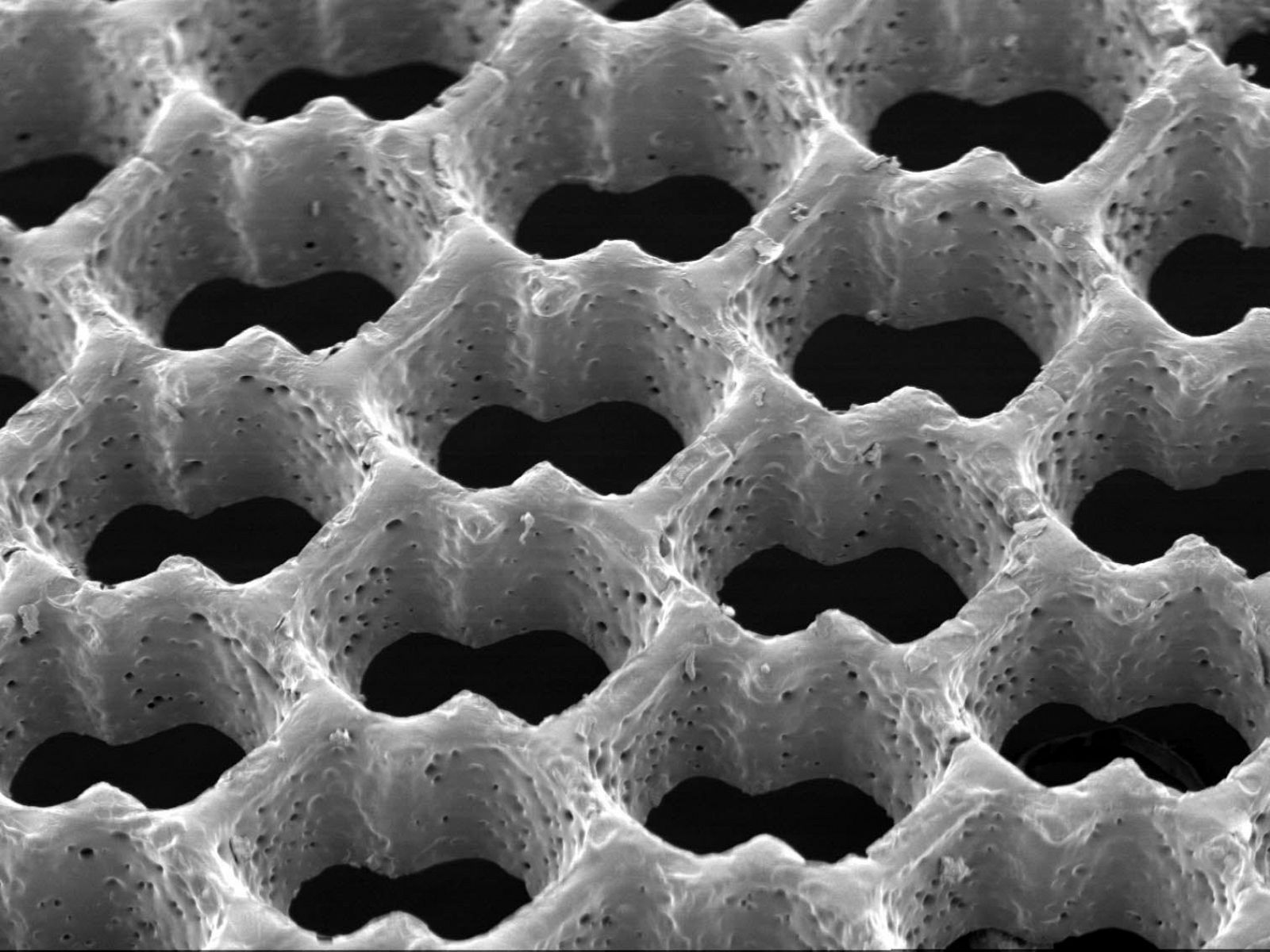 BIOPARCHES PARA REPARAR LESIONES CARDIACAS