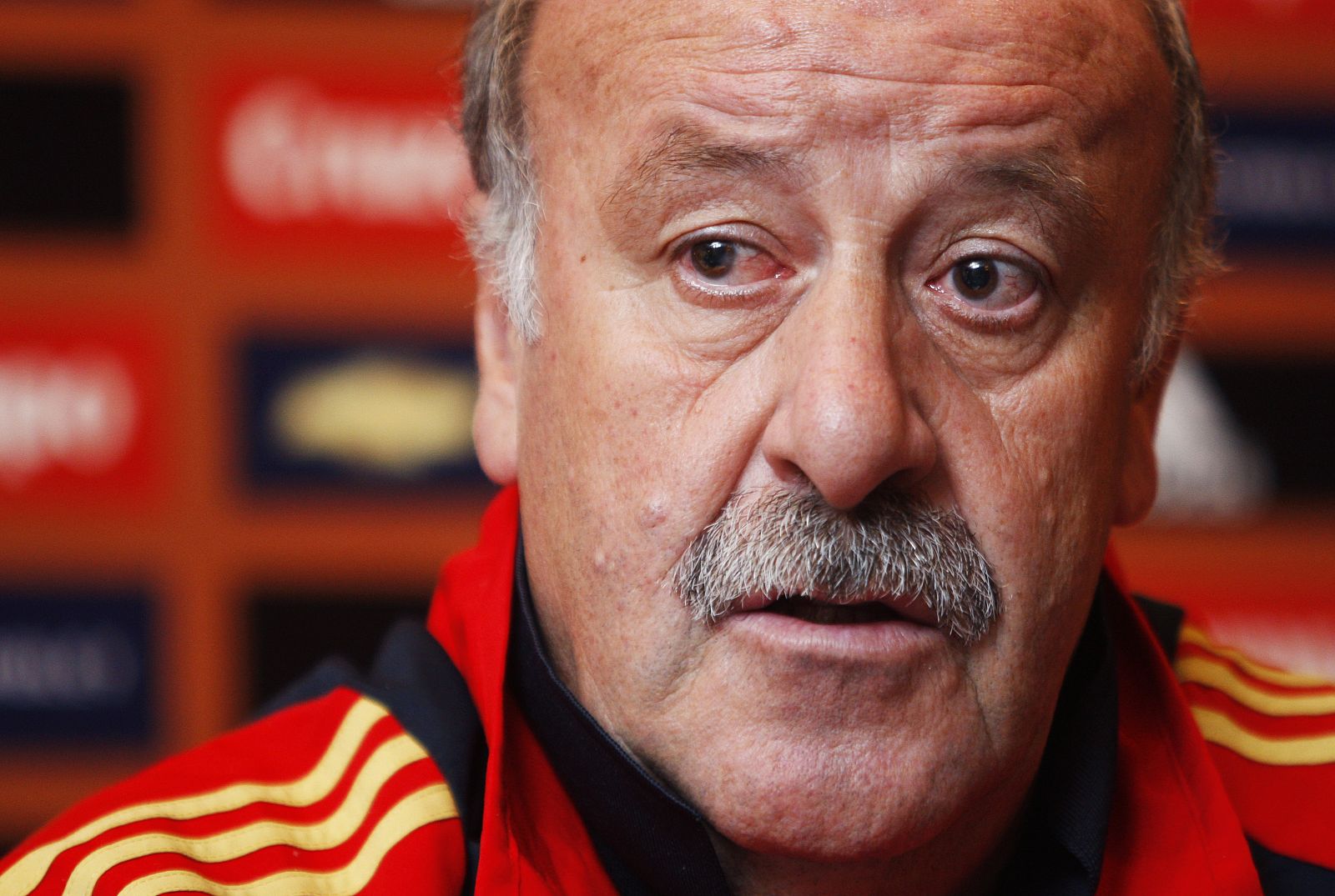 Vicente del Bosque ha dado la lista de convocados para el amistoso de la selección.