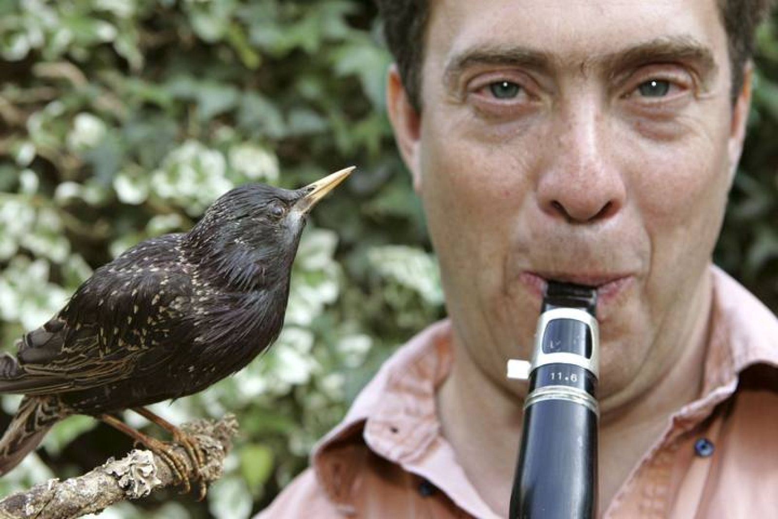  El ornitólogo y músico David Rothenberg con un pájaro