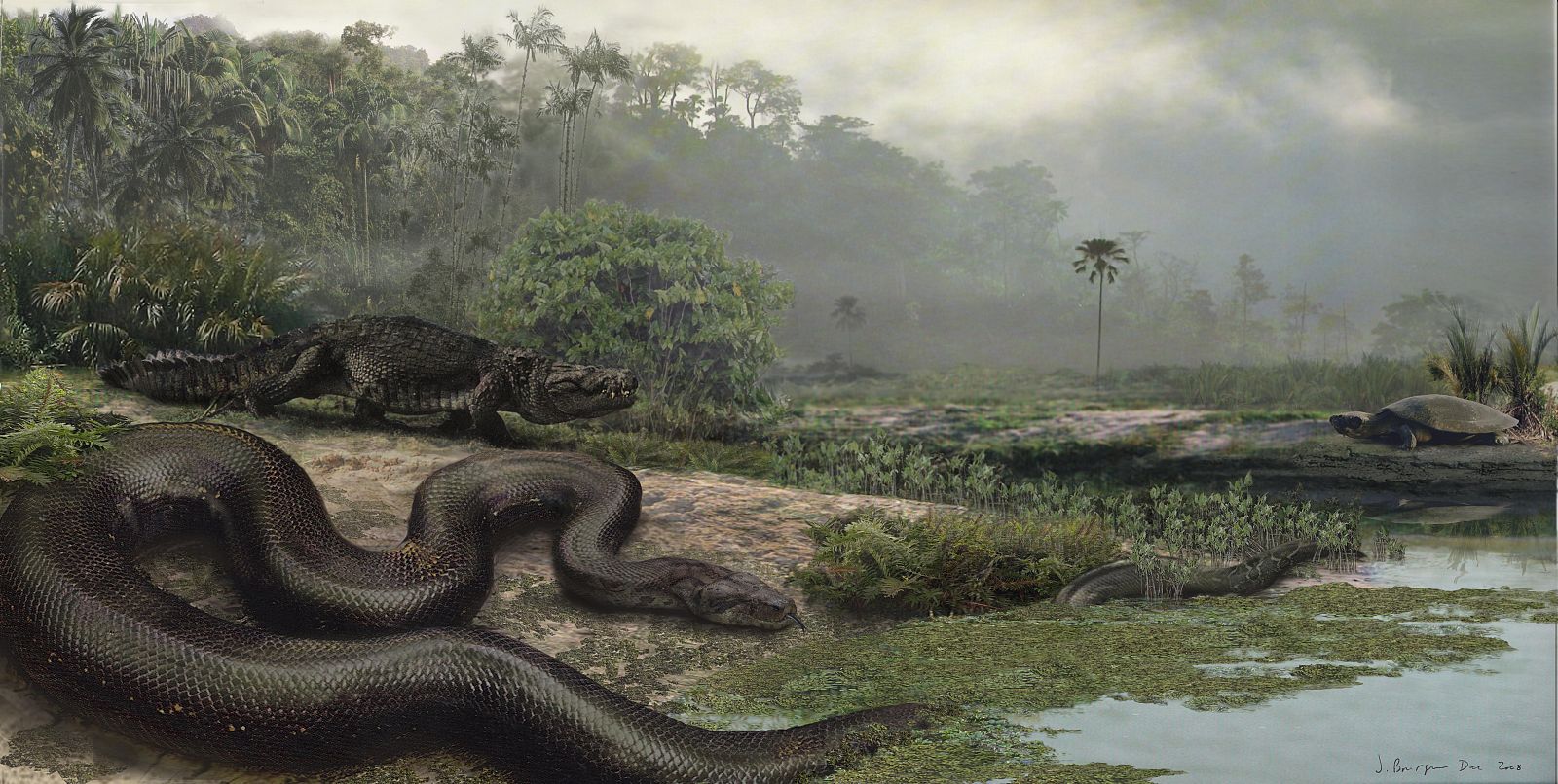 Reconstrucción del aspecto de la 'Titanoboa' en los bosques de Cerrajón.