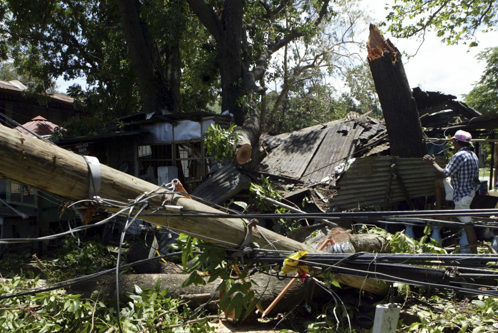 A resident inspects his house destroyed by a fallen tree and an electrical pole after Typhoon Chan-Hom hit in La Union province