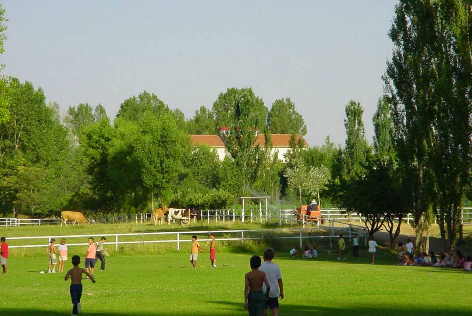 Conviene conocer las preferencias de los pequeños e intentar respetar su opinión a la hora de elegir un campamento de verano.