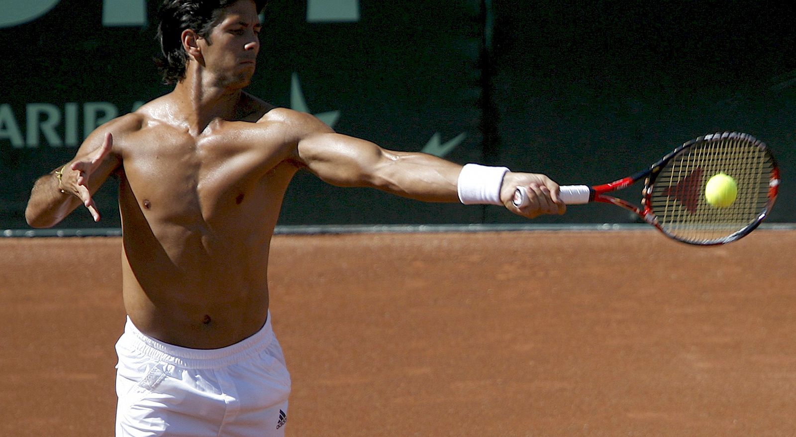 Verdasco será el líder del equipo español en los cuartos de final de la Davis