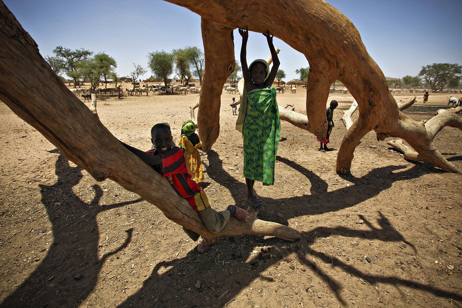 Tras seis años de guerra, en Darfur ha habido decenas de miles de muertos y más de dos millones y medio de desplazados.