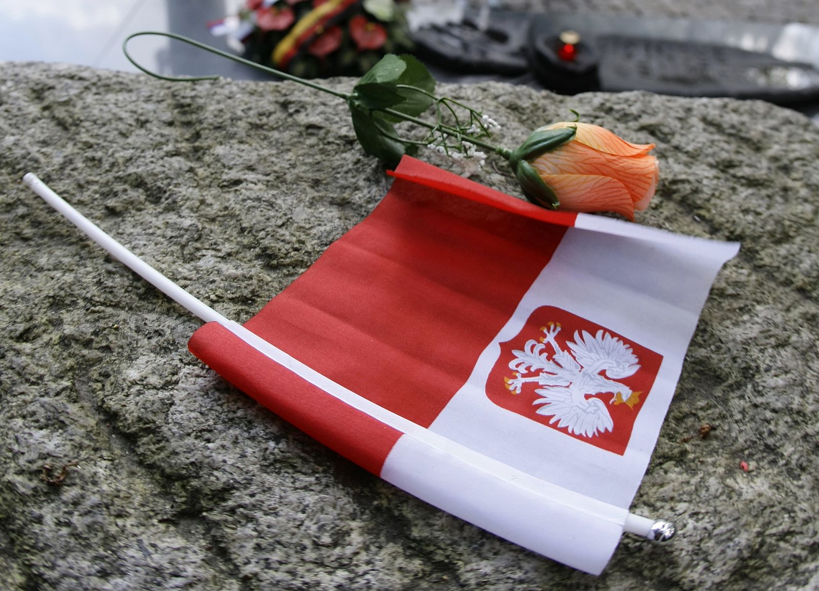 Una rosa y una bandera polaca en la tumba del alcalde Henryk Sucharski, que defendió Polonia en los primeros días de la II Guerra Mundial.