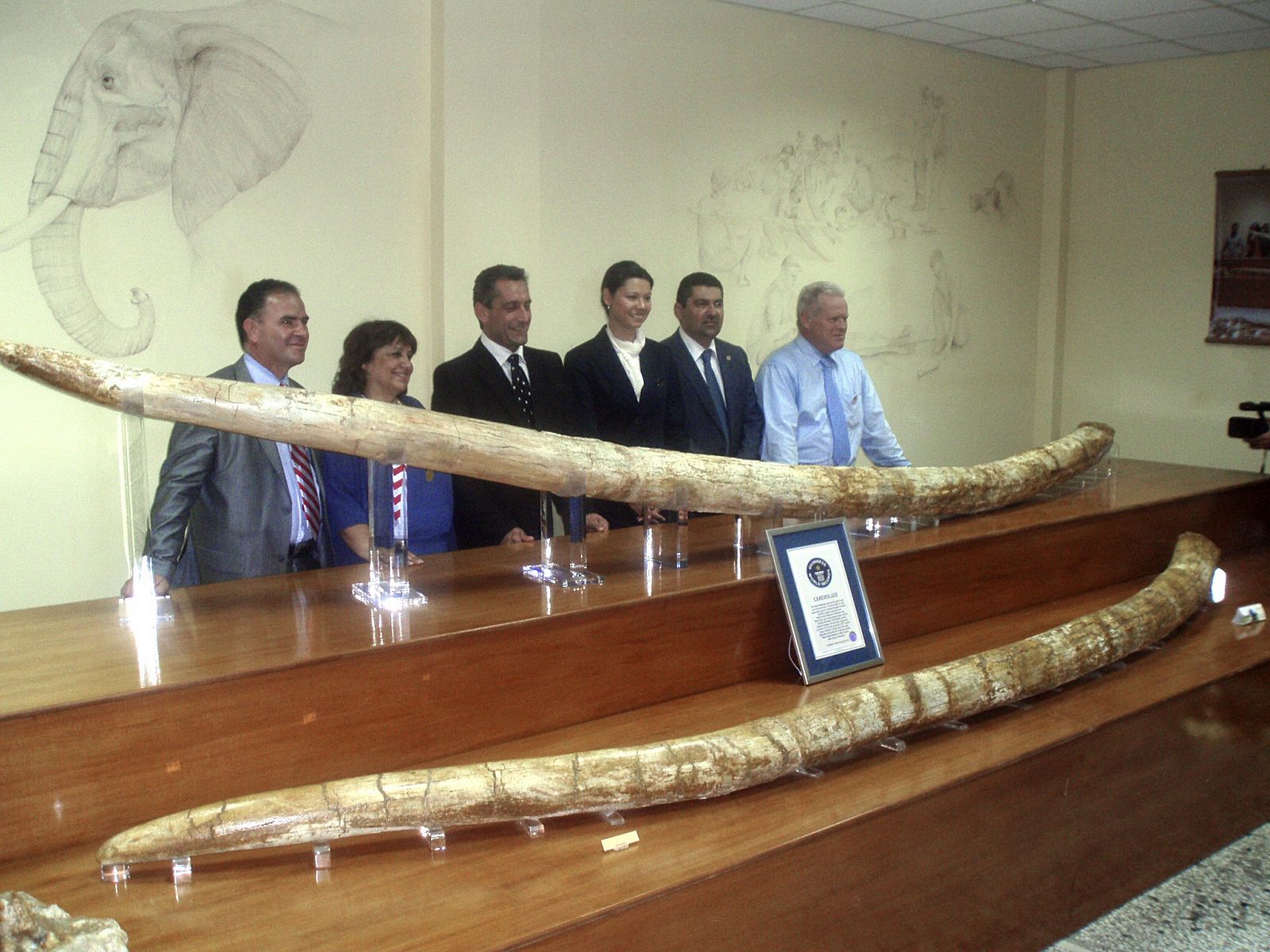 En la imagen, las autoridades locales y la representante del Libro Guinness de los Records posan junto a los colmillos más largos del mundo.