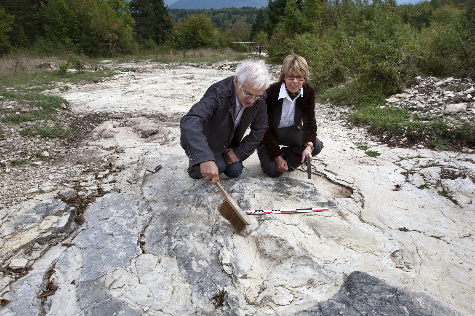 Los paleontólogos junto a las huellas de dinosaurio encontradas en Plagne, Francia