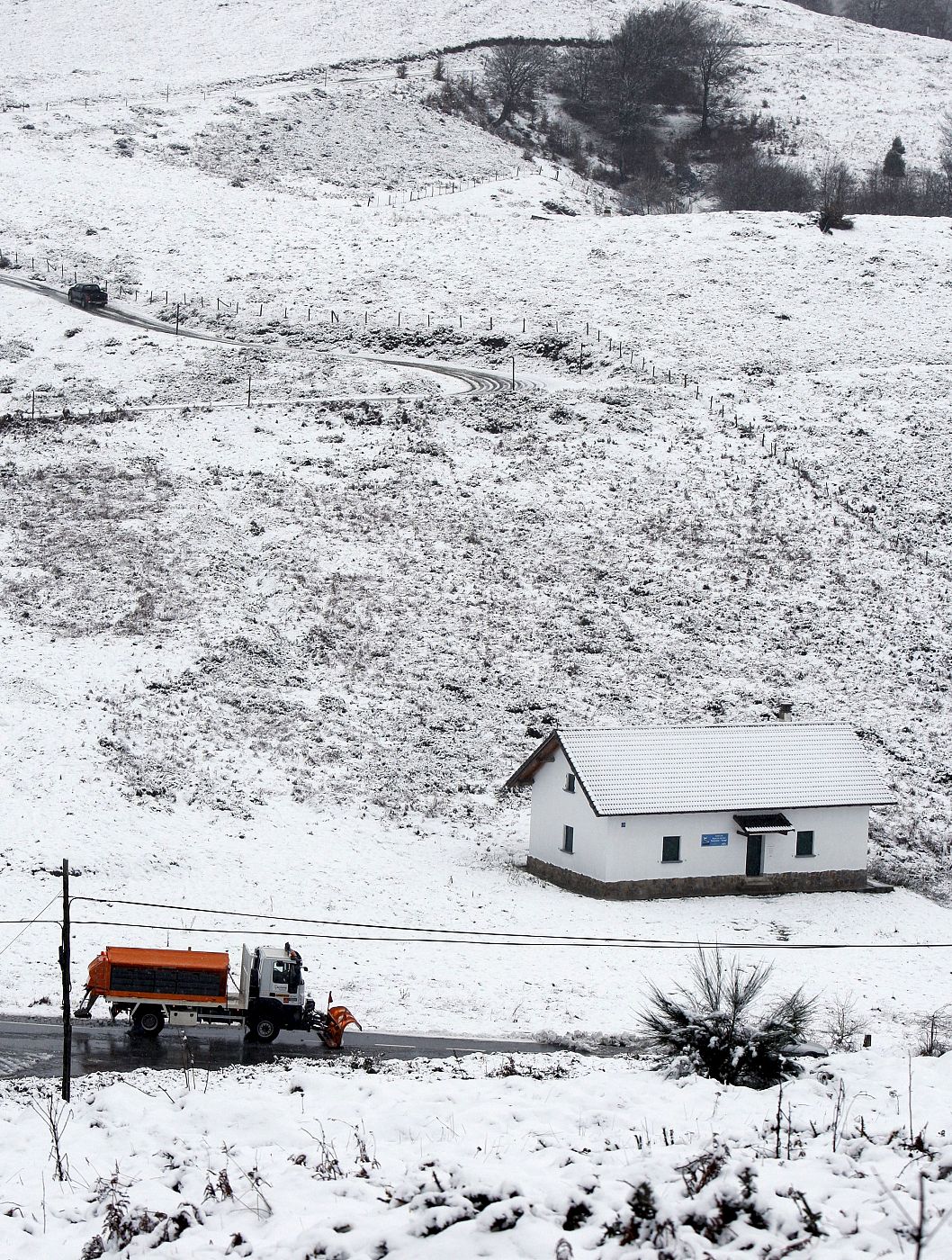 NEVADAS