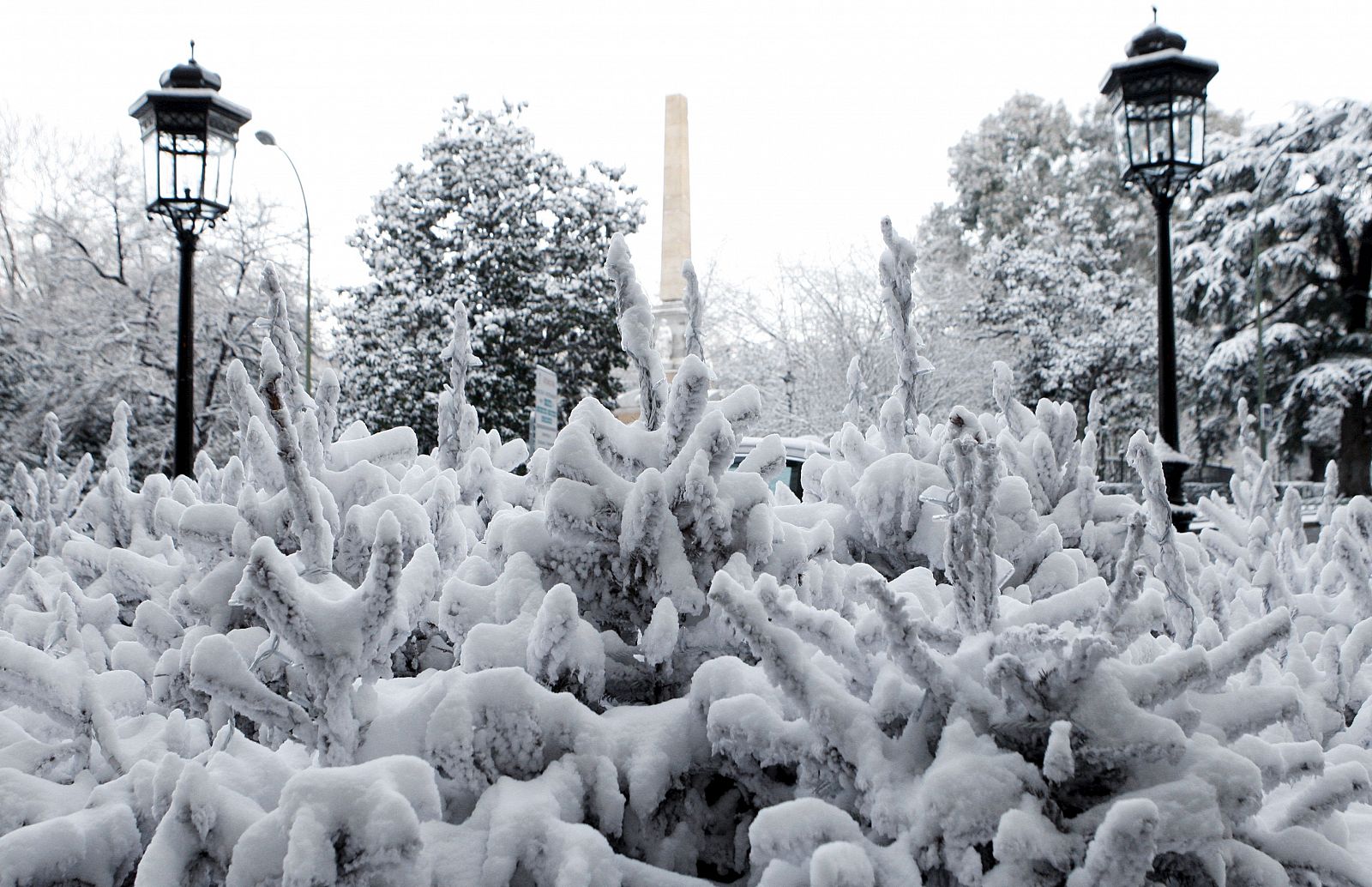 Imagen de la plaza madrileña de la Lealtad completamente cubierta de nieve.