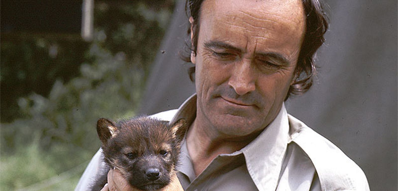 Félix Rodríguez de la Fuente con un lobezno durante la grabación de 'El hombre y la Tierra'.