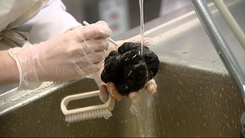 Proceso de lavado de la trufa en la conservera 'Manjares de la Tierra'