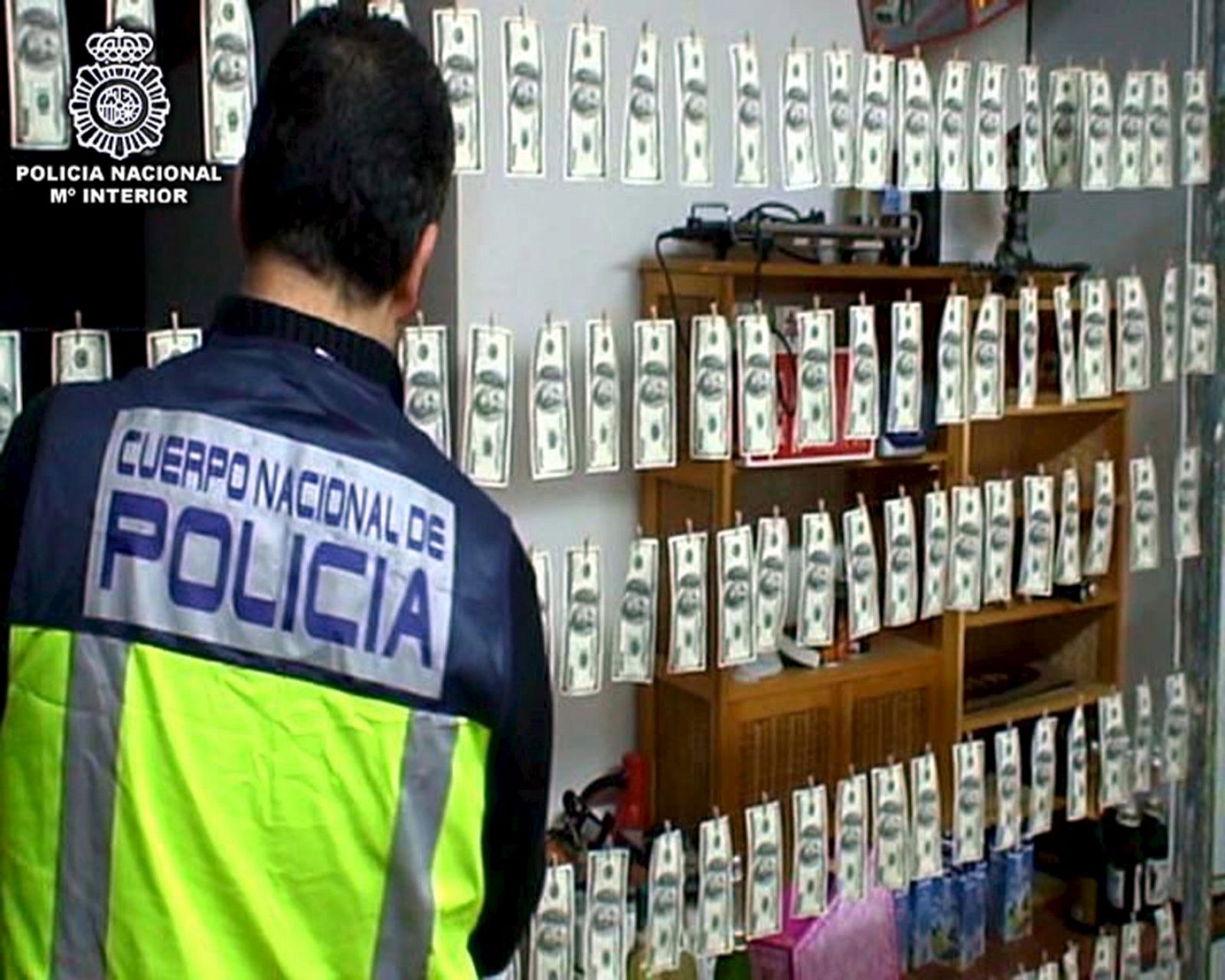 Un agente de Policía observa cientos de billetes falsos tendidos en el proceso de secado.