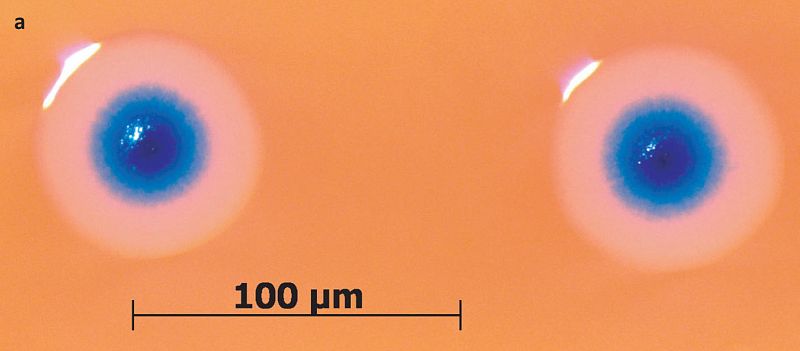 El equipo científico de Craig Venter ha anunciado la creación de la primera célula con genóma sintético.