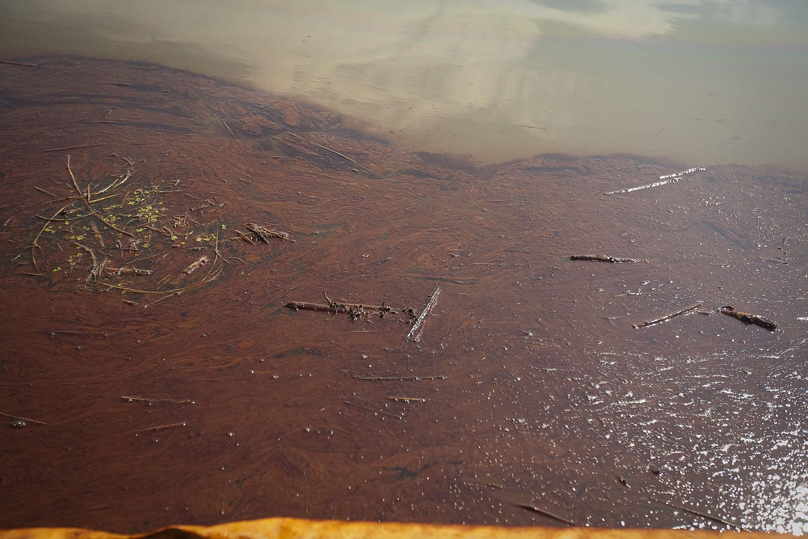 Vista de petróleo dentro de barreras contra el vertido que se supone deben proteger los pantanos y humedales en la desembocadura del río Mississippi en el Golfo de México, Luisiana.