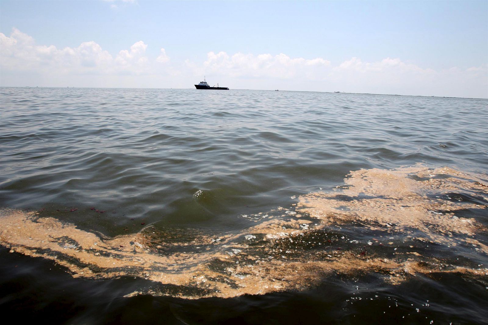 Fotografía facilitada por Greenpeace que muestra una gran mancha de petróleo en la superficie del agua en la Bahía Barataria, en Luisiana.