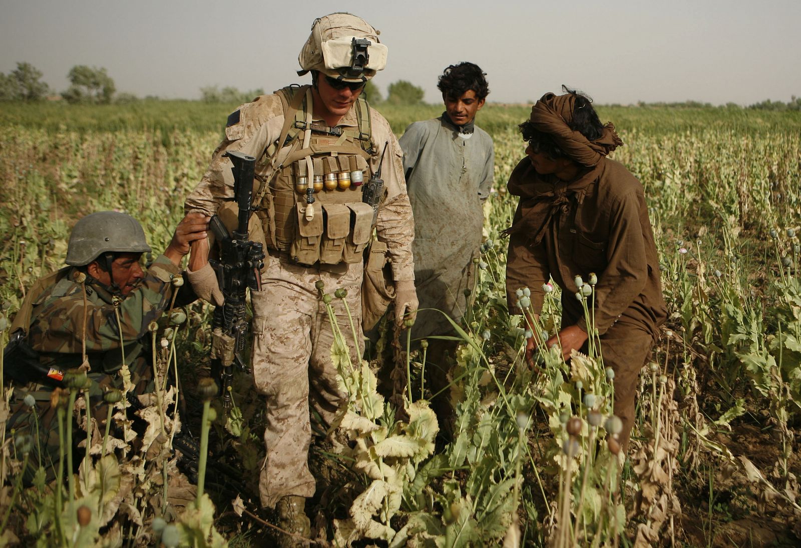 Granjeros afganos vigilan a un soldado estadounidense que atraviesa un campo de opio en Karez-e-Sayyidi.