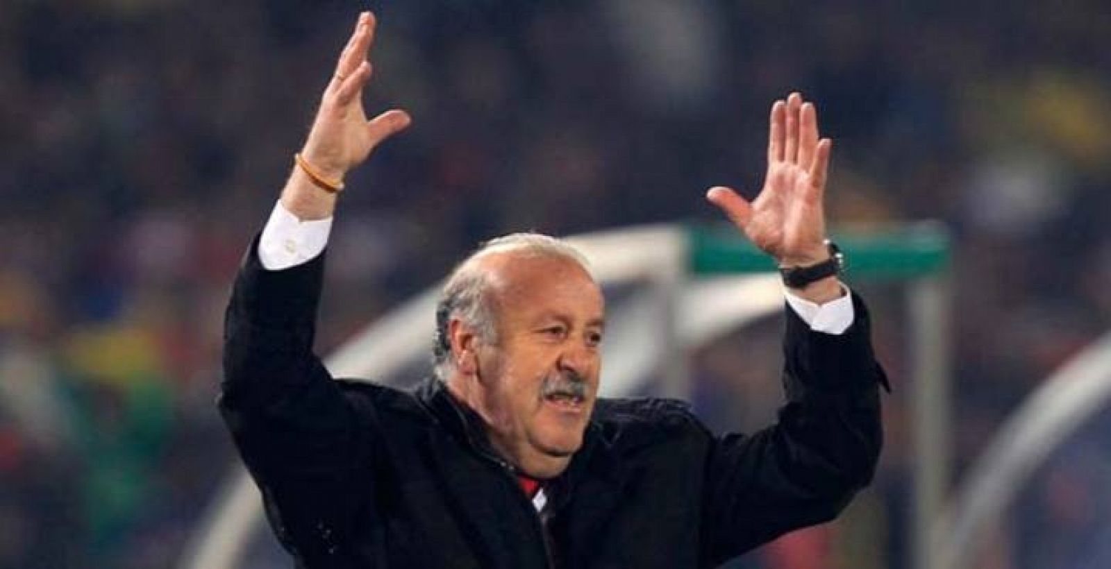 Vicente Del Bosque gestualizando durante el partido entre Chile-España