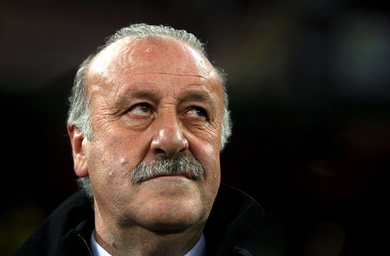 El seleccionador español, Vicente del Bosque, en el partido ante Portugal.