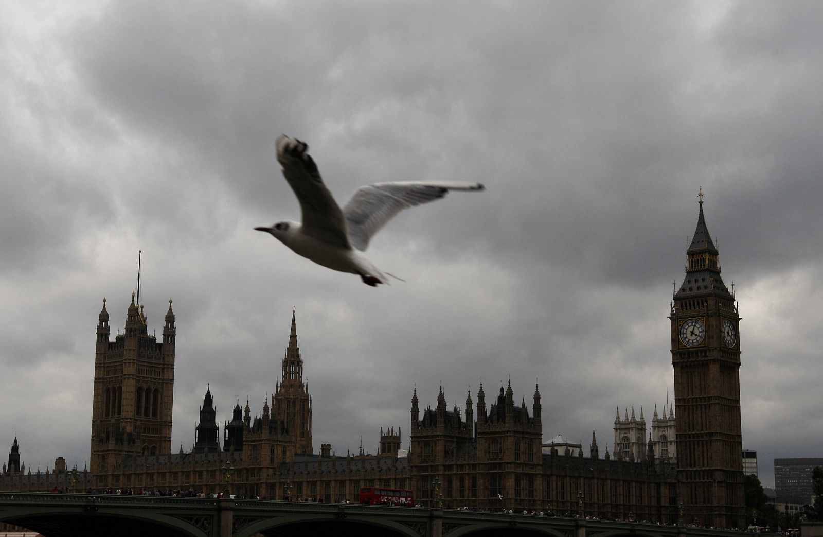 Una gaviota sobrevuela el Parlamento de Londres