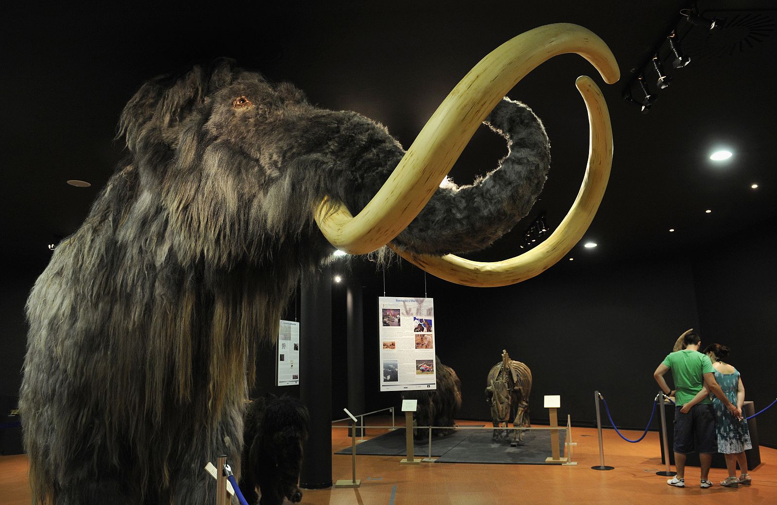La reconstrucción de un mamut exhibido en el Museo Jurásico de Asturias