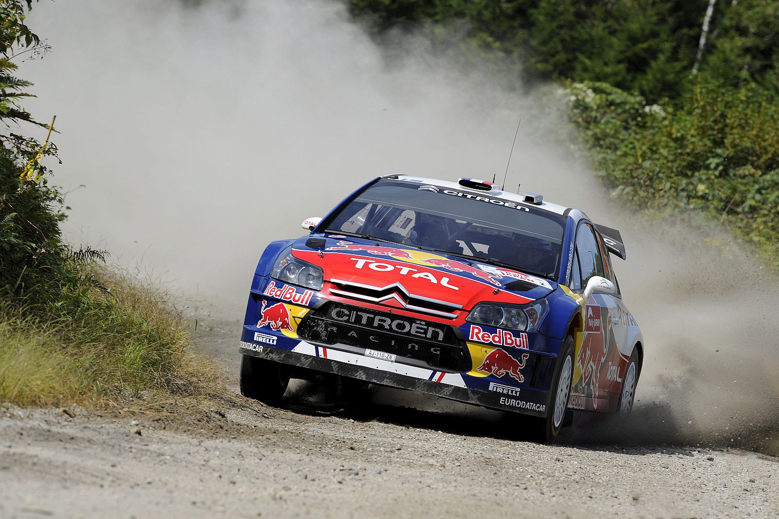 El piloto francés Sebastien Ogier se ha proclamado ganador del rally de Japón.