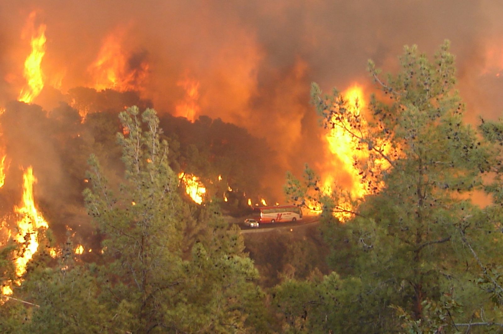 Israeli Firefighters Battle Deadly Forest Fire