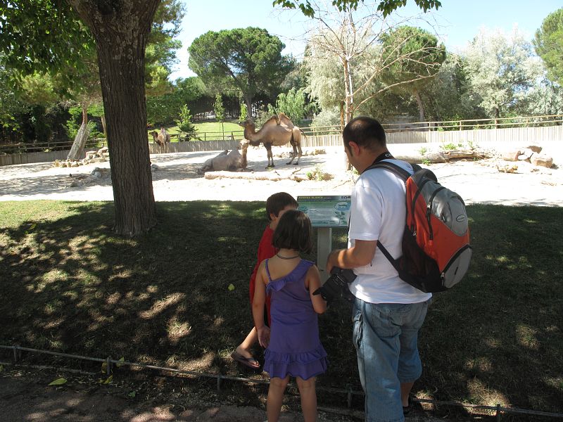 Carlos tiene la custodia compartida de sus hijos de 7 y 5 años.