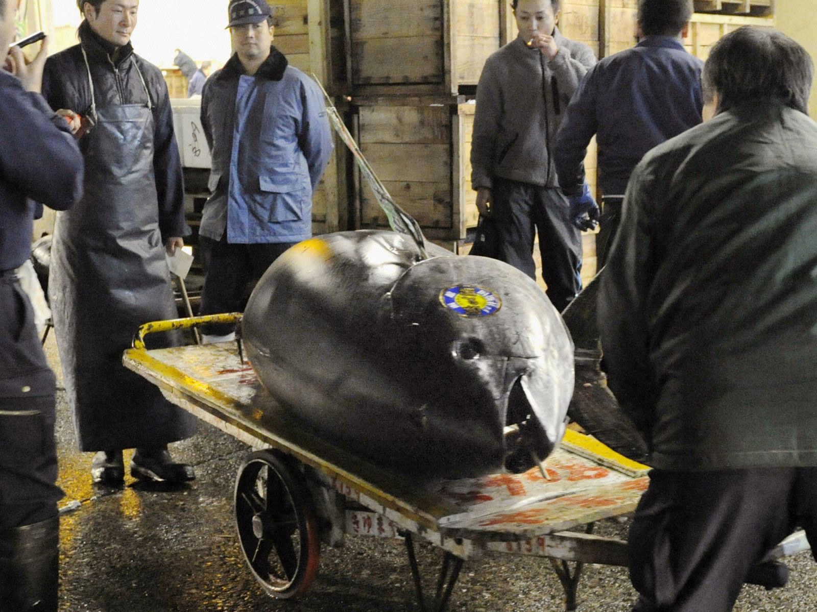 El atun gigante en el mercado de Tsukiji, en Tokio