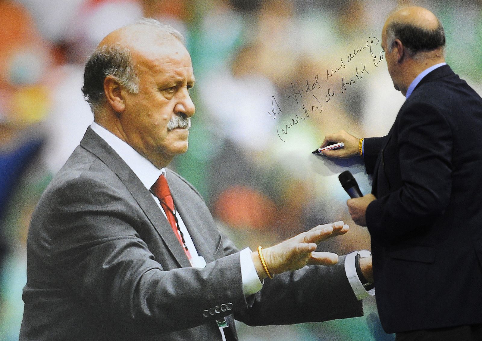 Vicente del Bosque, técnico de la selección española de fútbol.