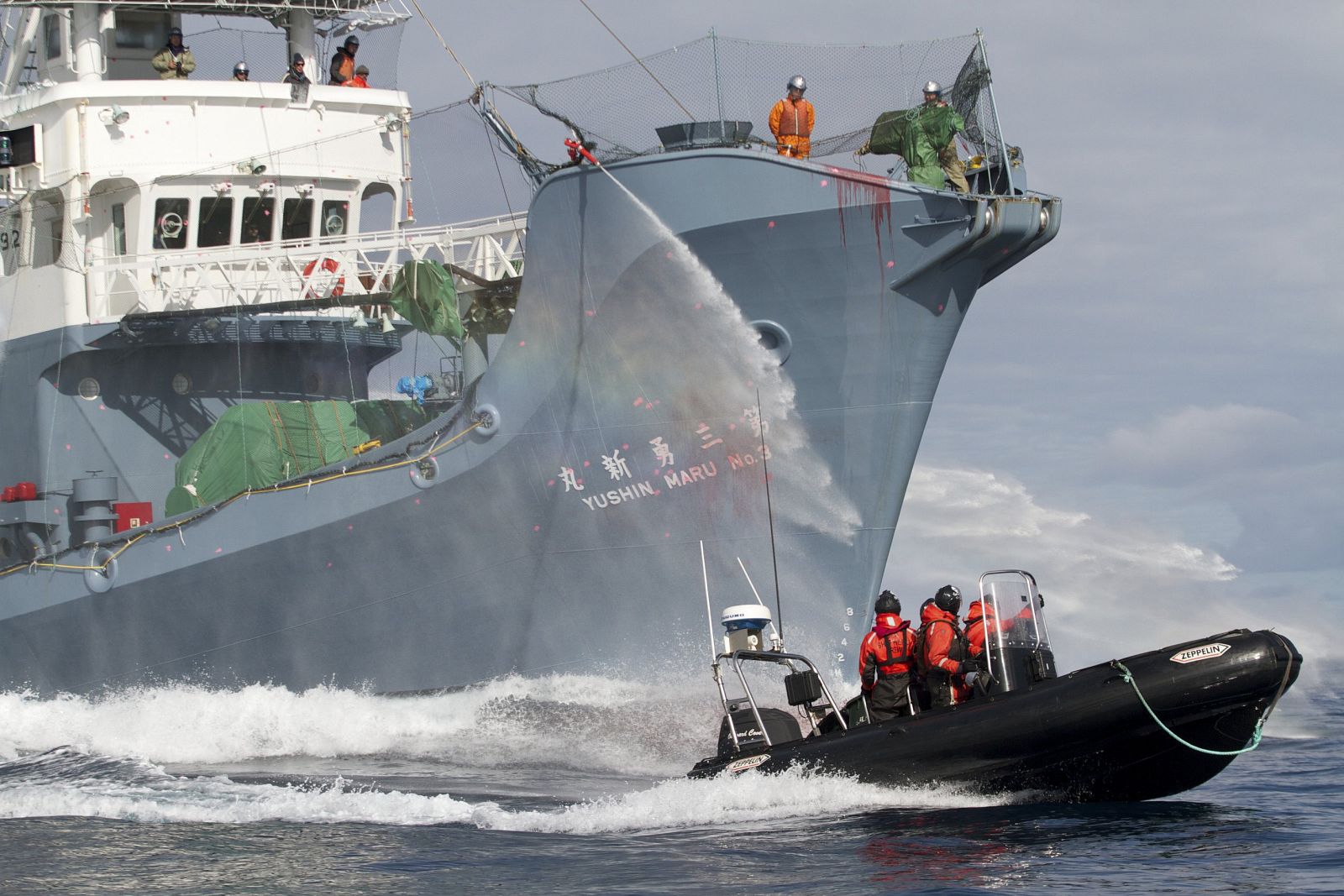 El gobierno japonés ha puesto fin a la temporada de caza de ballenas