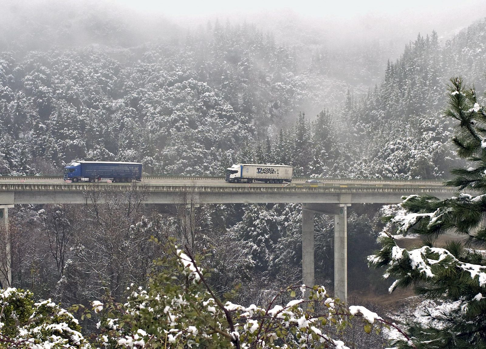 Se mantiene la alerta por nevadas, que pueden llegar al sur y el prelitoral