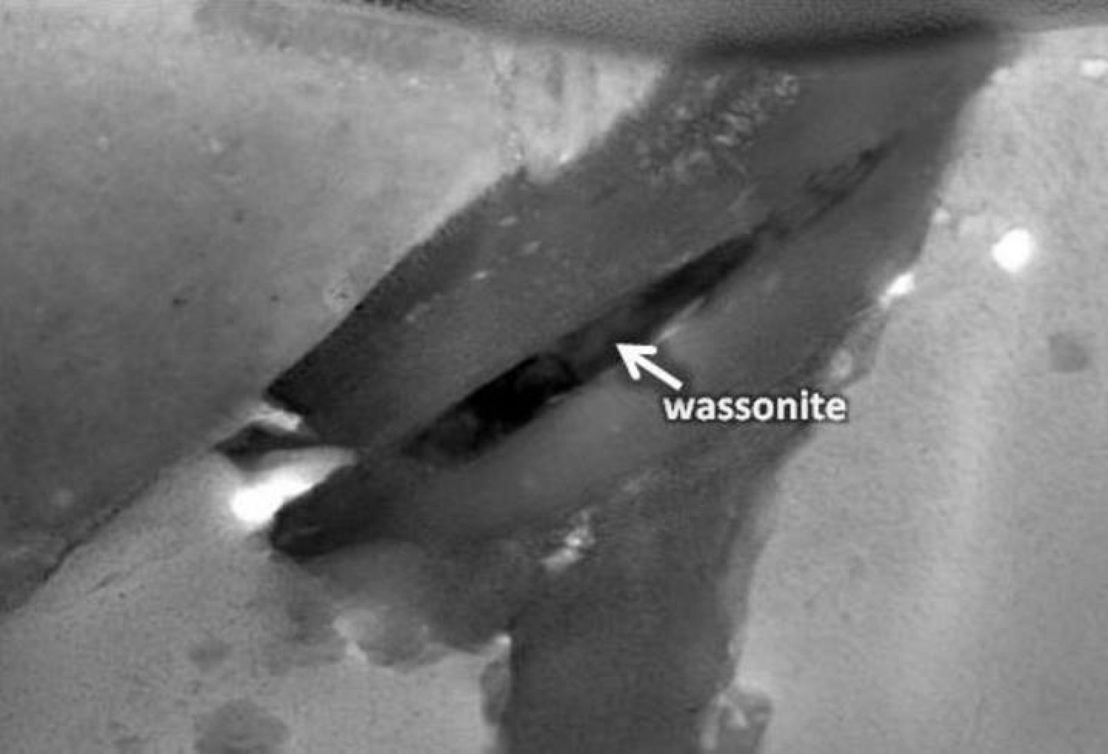 wasonita
