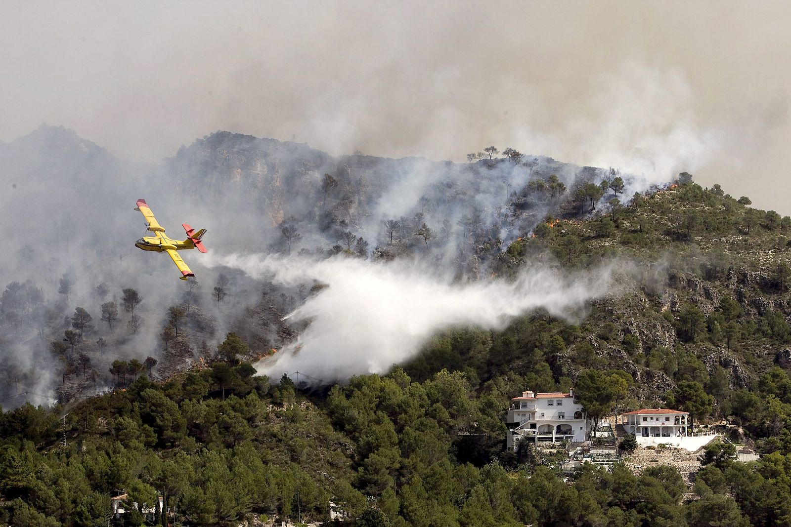 INCENDIO FORESTAL