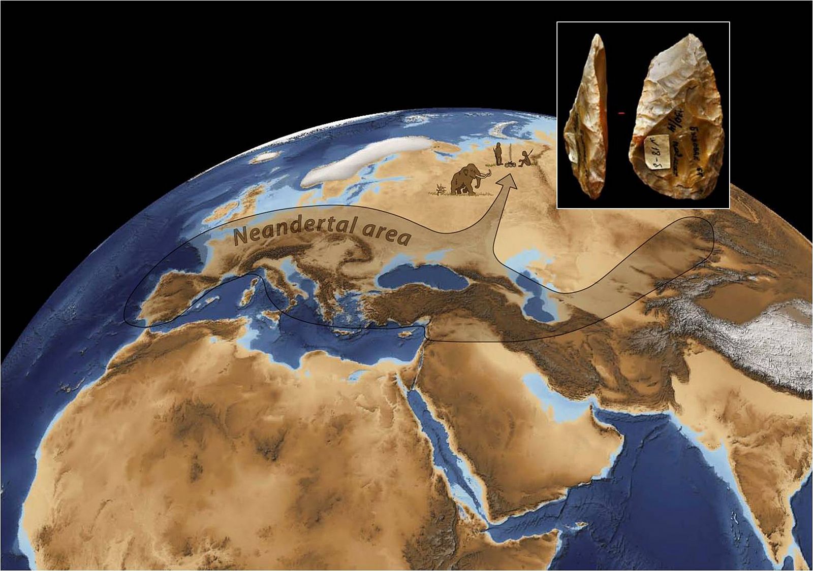 Una nueva investigación sugiere que Neandertales y humanos modernos convivieron más tiempo del que se pensaba