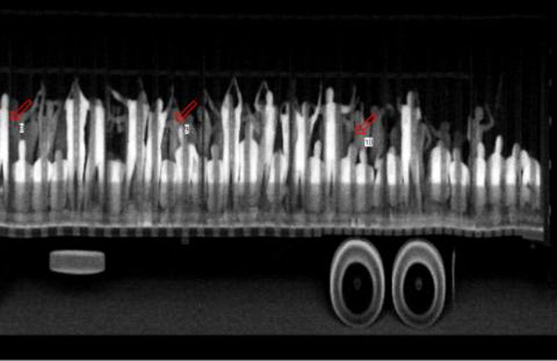 Imagen proporcionada por el Gobierno del Estado de Chiapas que muestra cómo fueron detectados, mediante escáner, los migrantes que viajaban en condiciones infrahumanas por este sureño estado mexicano.