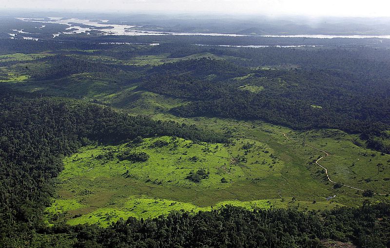 Área de bosque en torno al río Xingú, donde Brasil ha autorizado construir la tercera presa más grande del mundo.