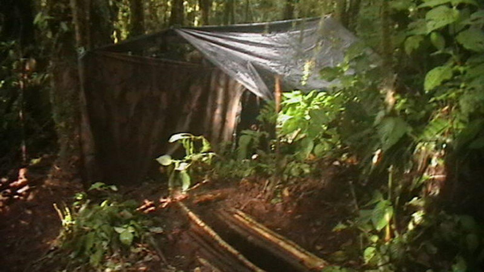 Vista del campamento del máximo jefe de las FARC ubicado en la zona rural de Chaparral (Colombia).