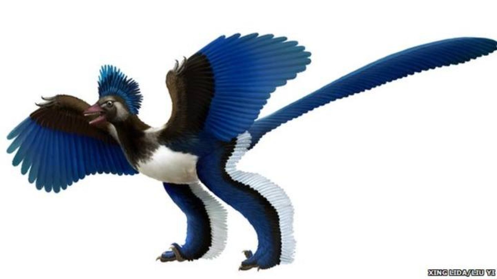 El dinosaurio que se hacía pasar por pájaro