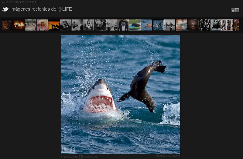 Las fotogalerías muestran las 100 últimas imágenes subidas en el perfil de cada usuario