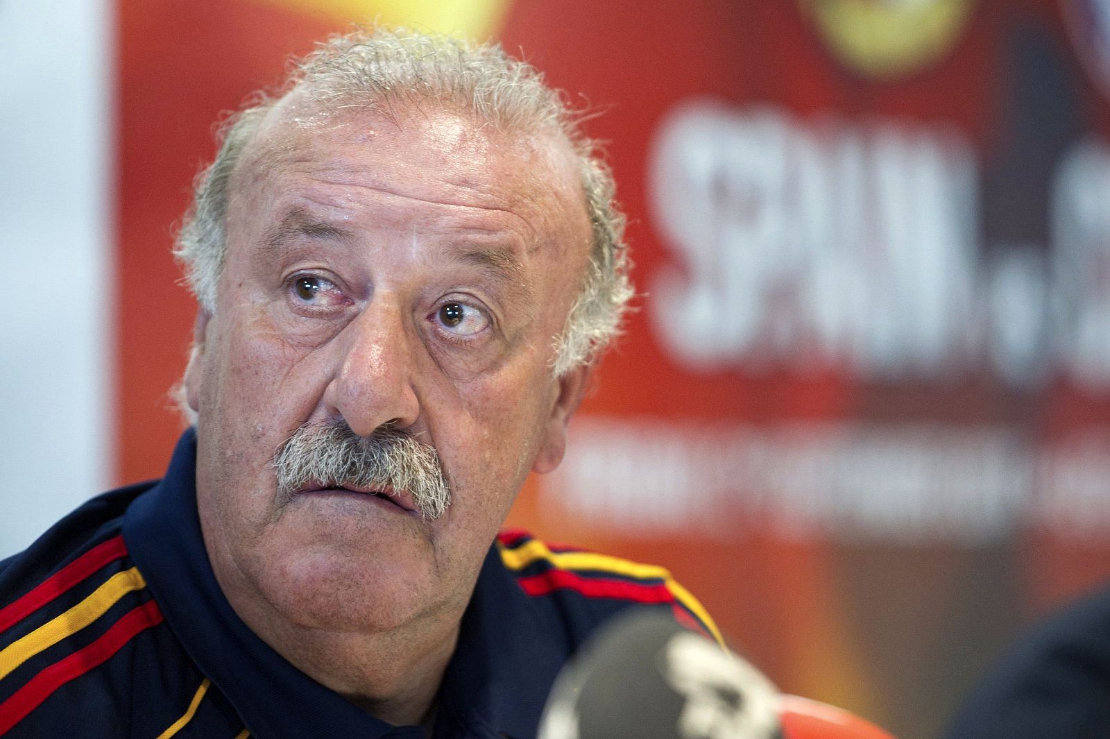 El entrenador de la selección española, Vicente del Bosque, durante la rueda de prensa