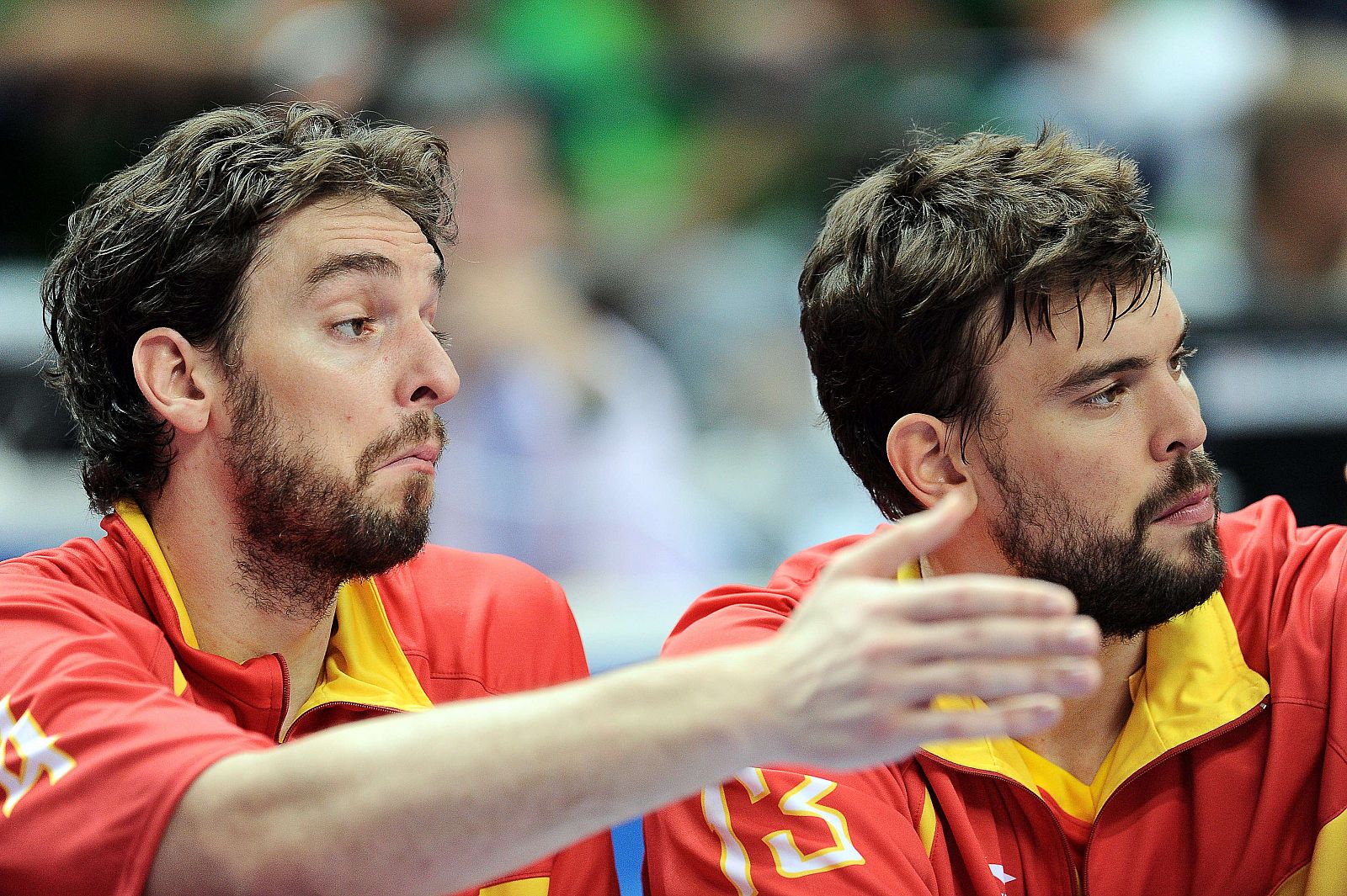 Pau Gasol y Marc Gasol