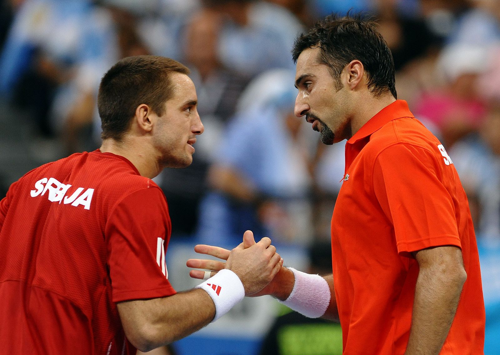 Viktor Troicki y Nenad Zimonjic se felicitan tras ganar un punto