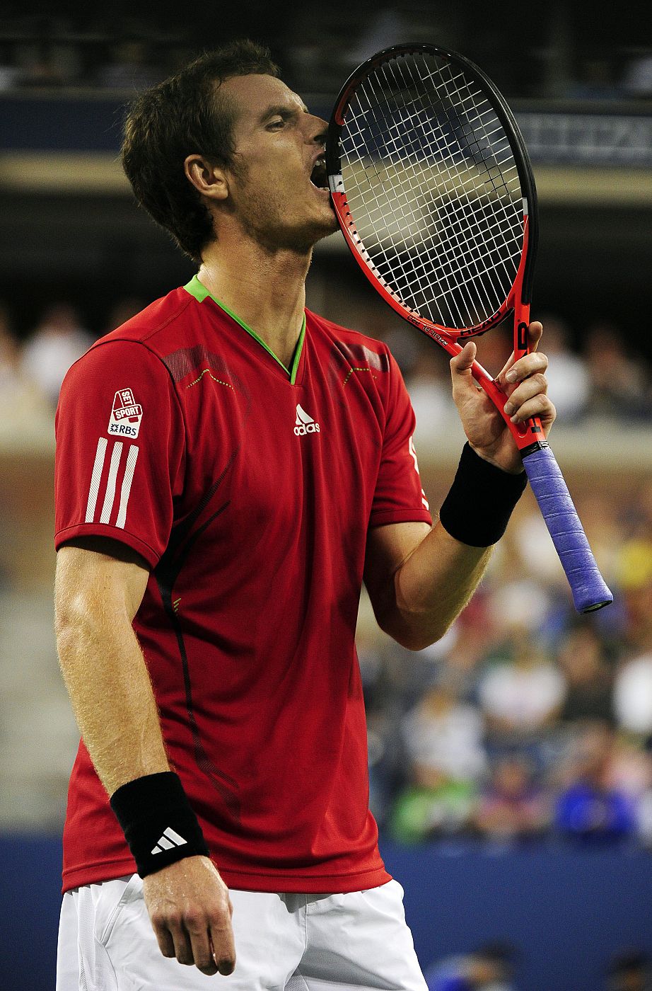 ABIERTO DE TENIS DE ESTADOS UNIDOS