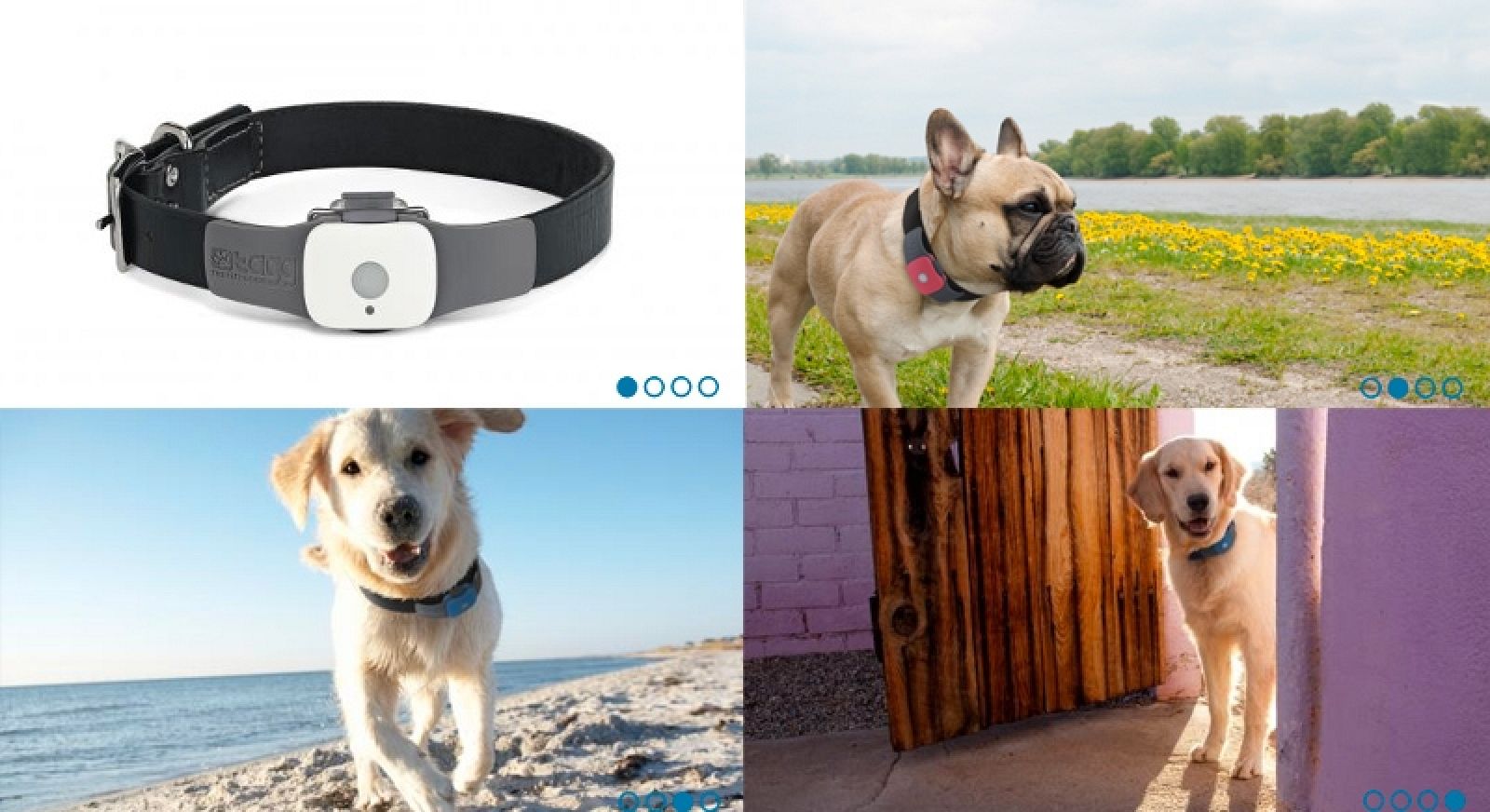 Las mejores ofertas en Collares para Perro Mascota Tracker