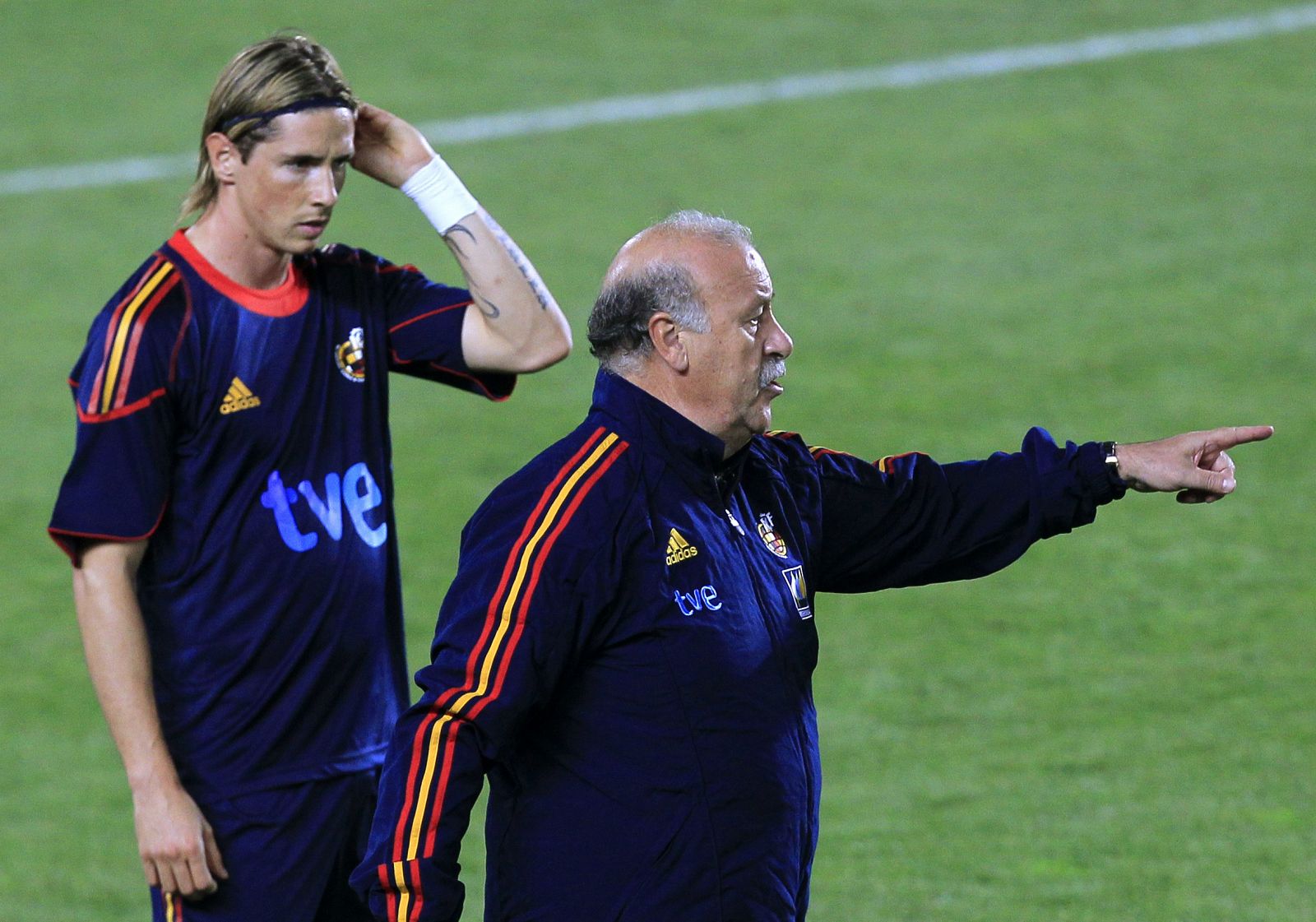 Torres y Del Bosque