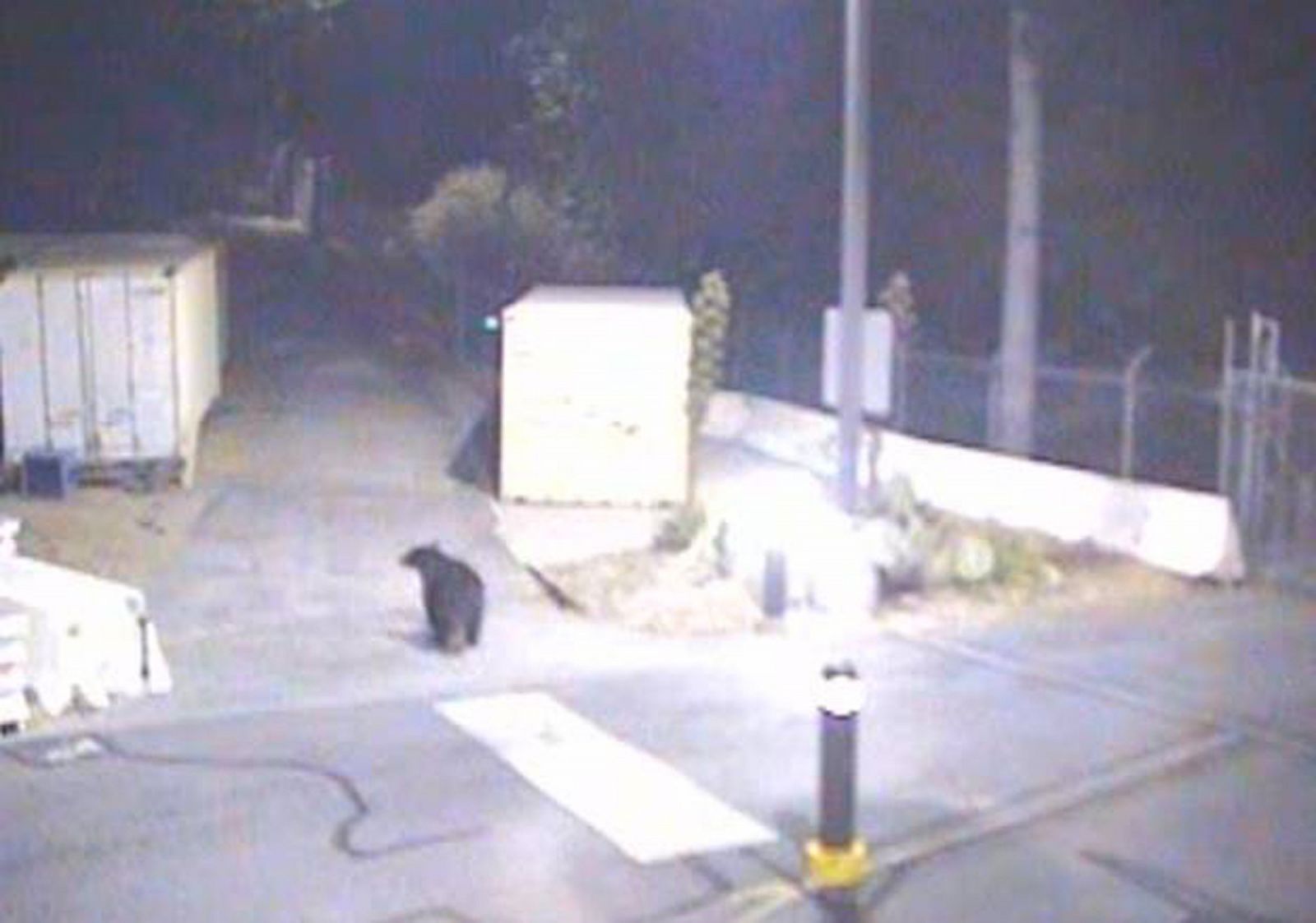 A bear is seen on security camera at NASA's Jet Propulsion Laboratory