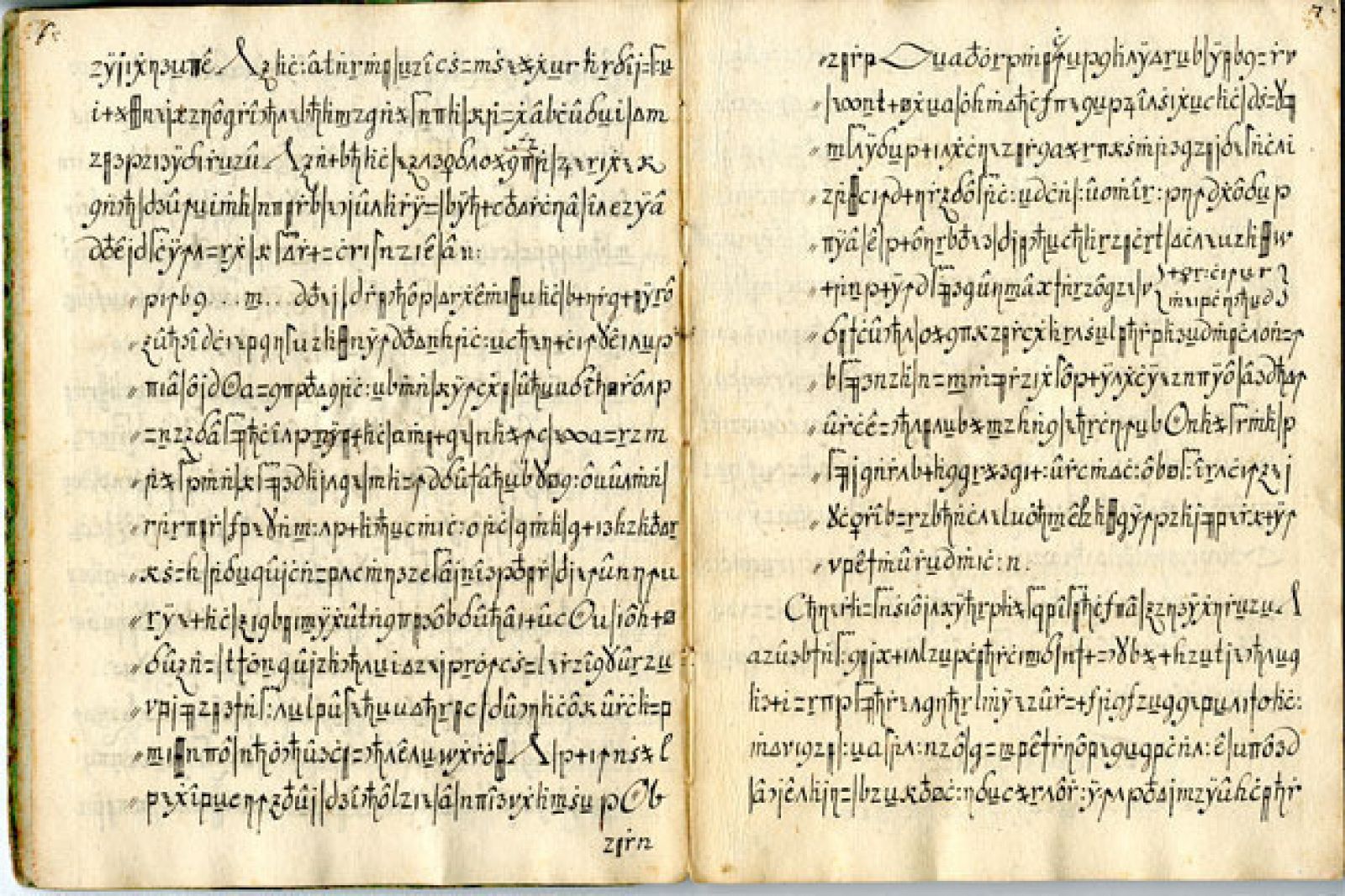 Кодекс рукопись. Кодекс Copiale книга. Codex Cumanicus. Кодекс Куманикус Автор. Codex Cumanicus на русском языке.